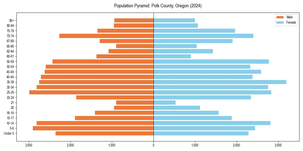 Population pyramid for 