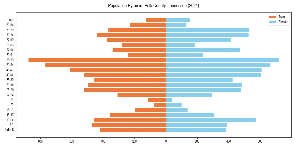 Population pyramid for 