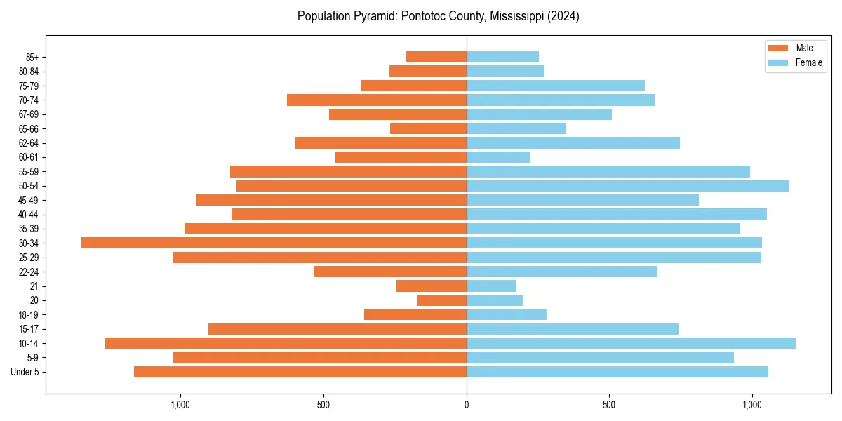 Population pyramid for 