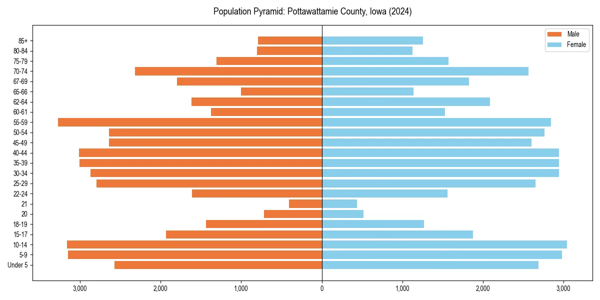 Population pyramid for 
