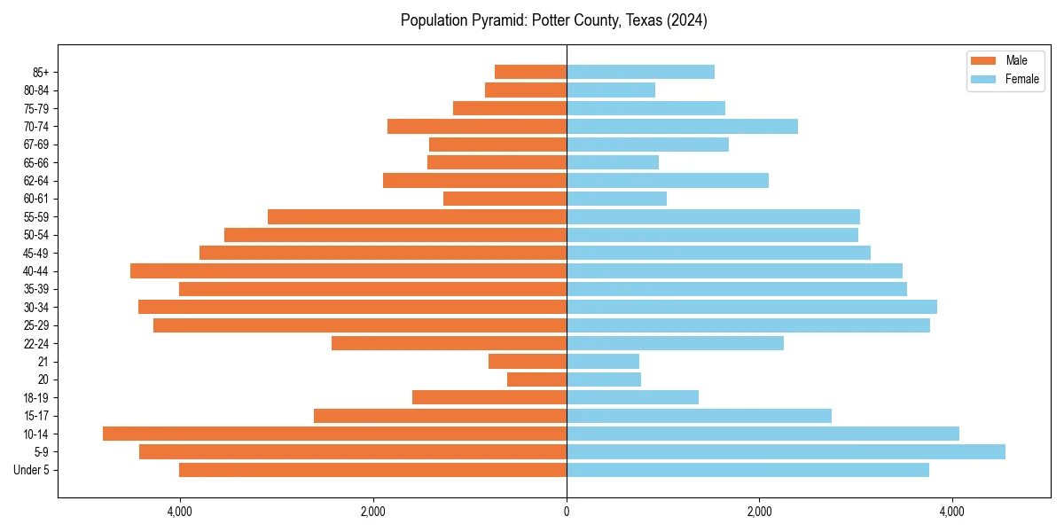 Population pyramid for 
