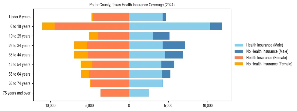 Health insurance pyramid for Potter County, Texas
