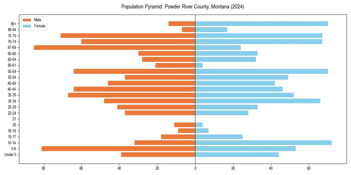 Population pyramid for 