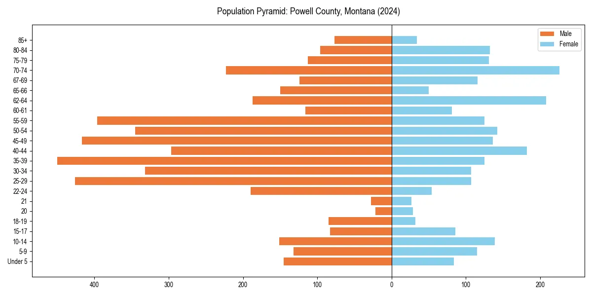 Population pyramid for 