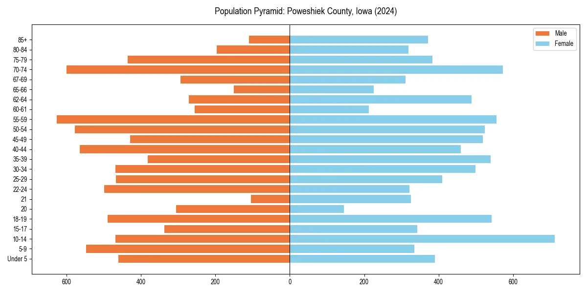 Population pyramid for 