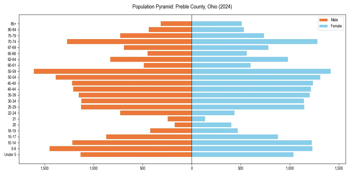 Population pyramid for