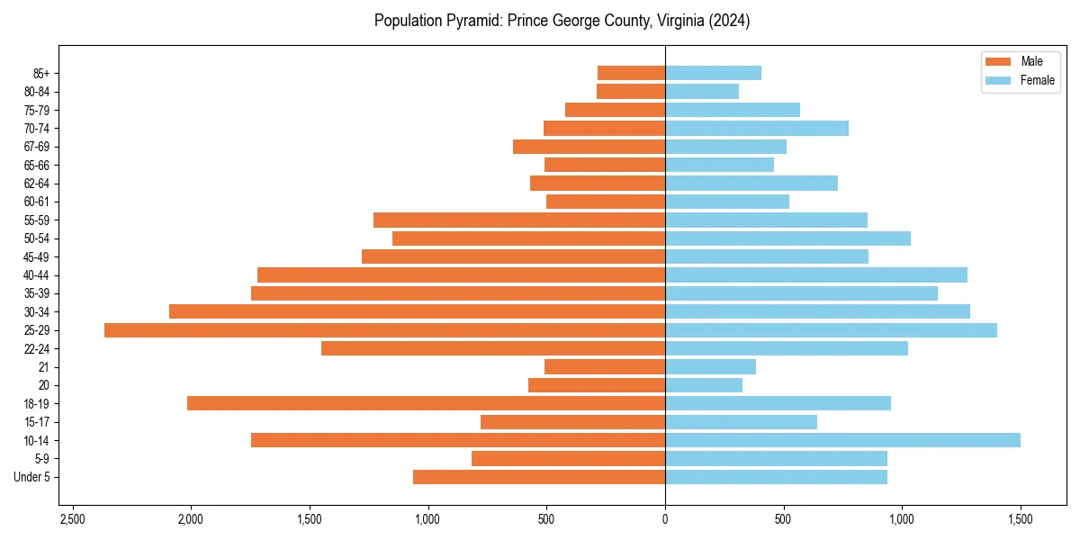 Population pyramid for 