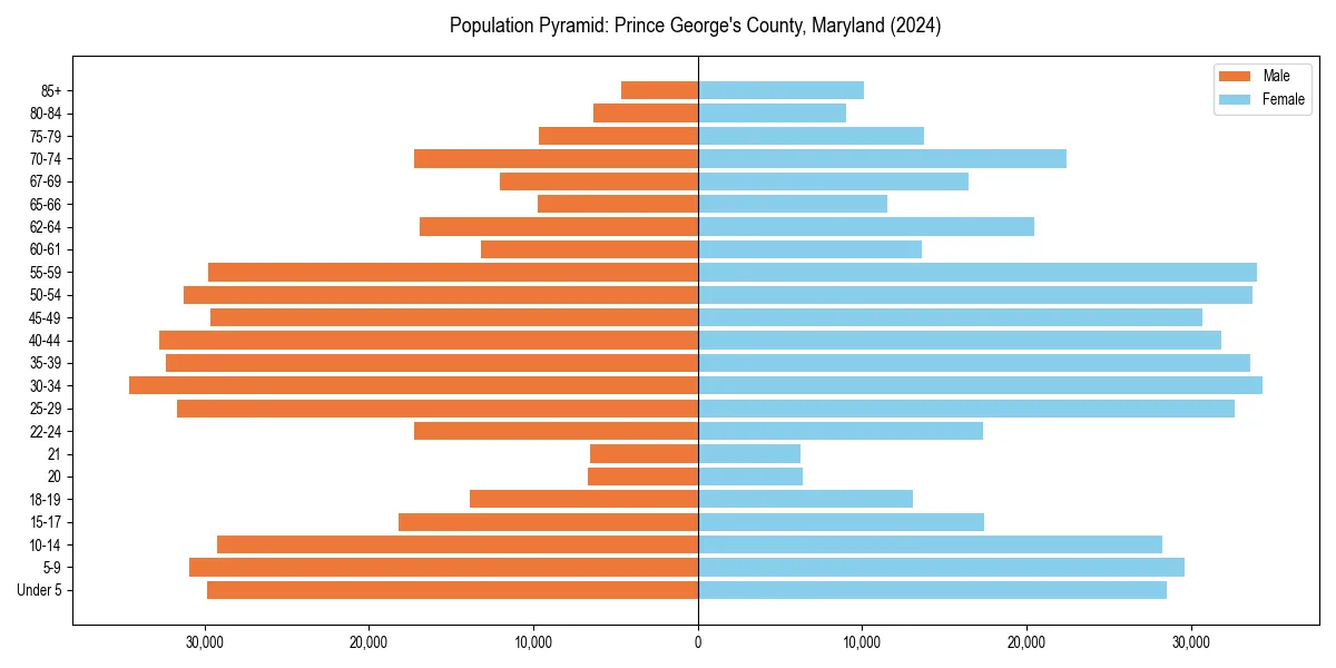 Population pyramid for 