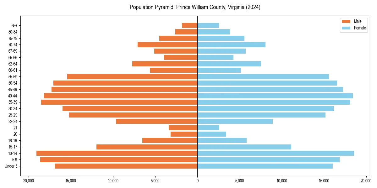 Population pyramid for 