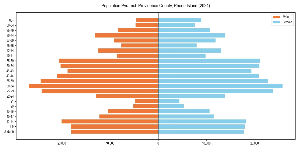 Population pyramid for 