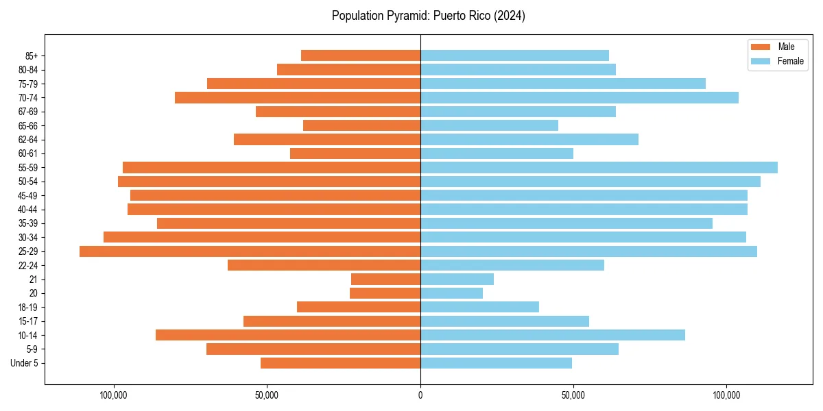 Population pyramid for 