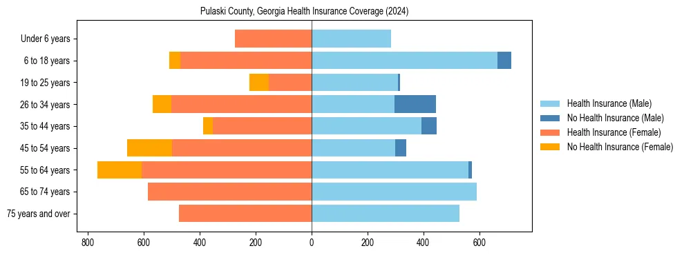 Health insurance pyramid for Pulaski County, Georgia
