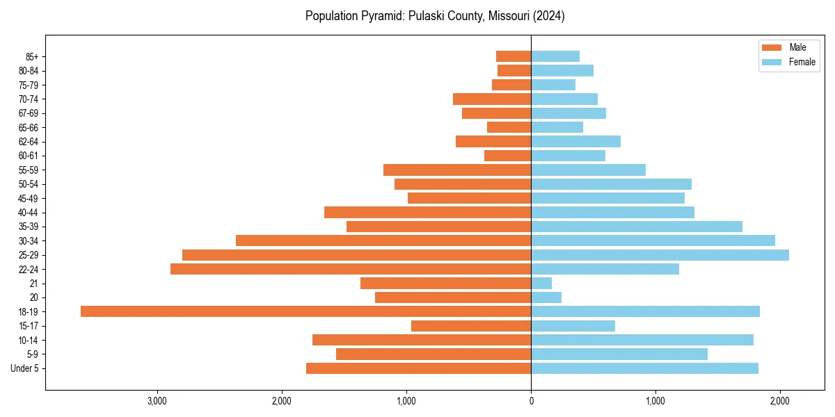 Population pyramid for 