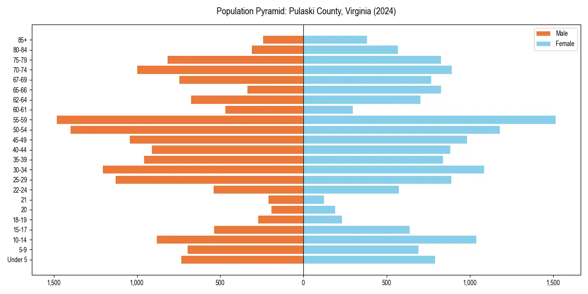 Population pyramid for 