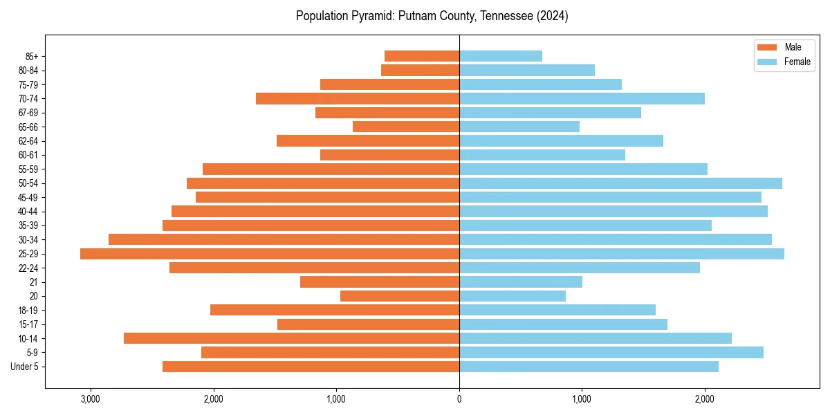 Population pyramid for 