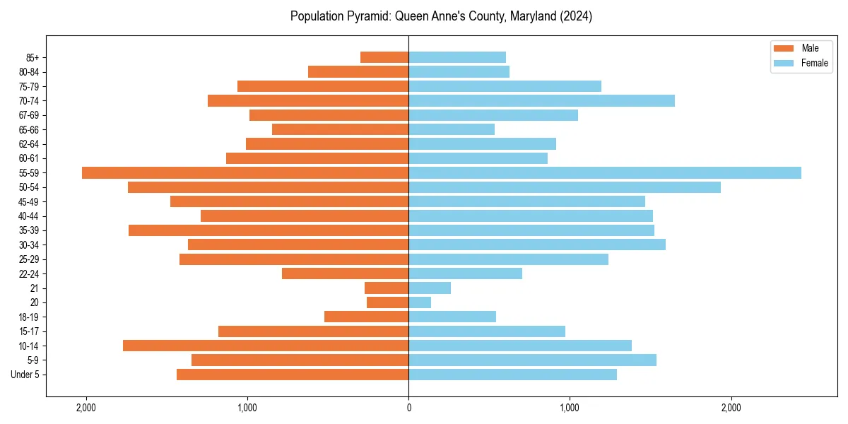 Population pyramid for 