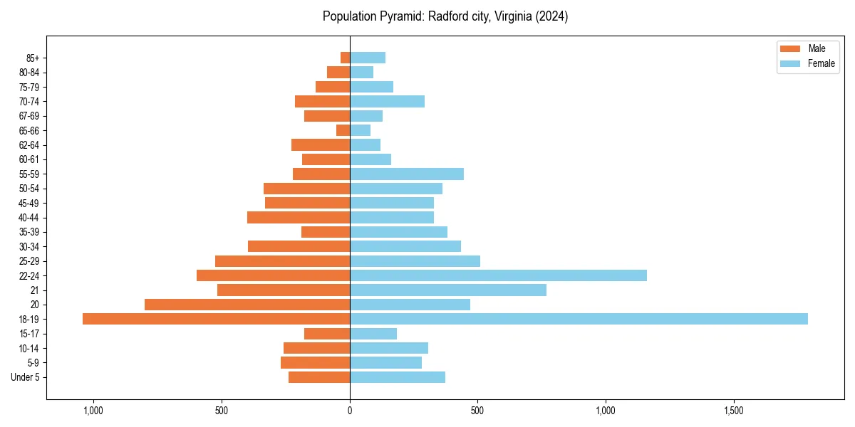Population pyramid for 