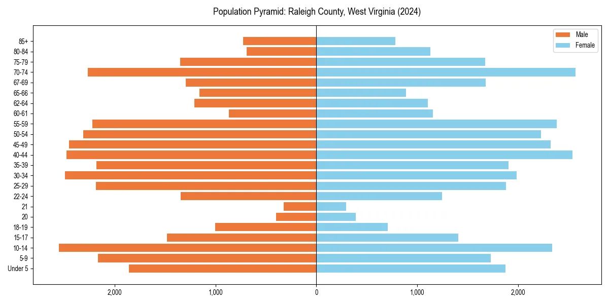 Population pyramid for 