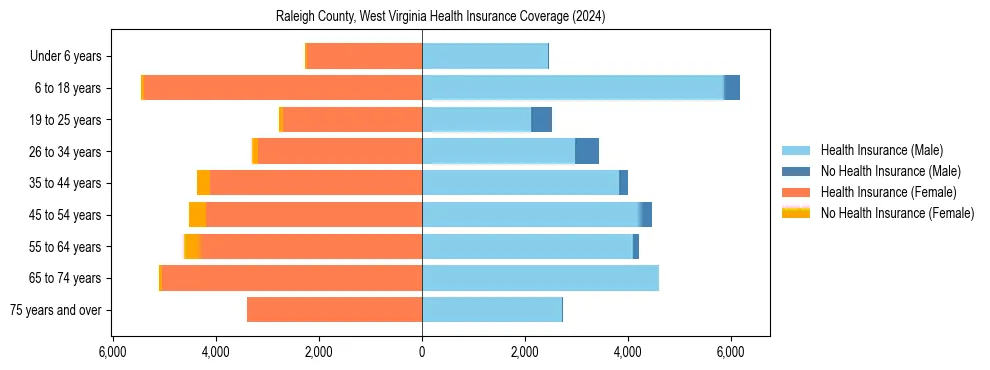 Health insurance pyramid for Raleigh County, West Virginia