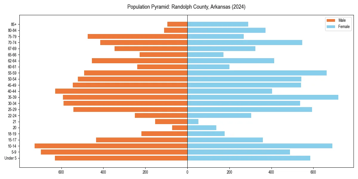 Population pyramid for 