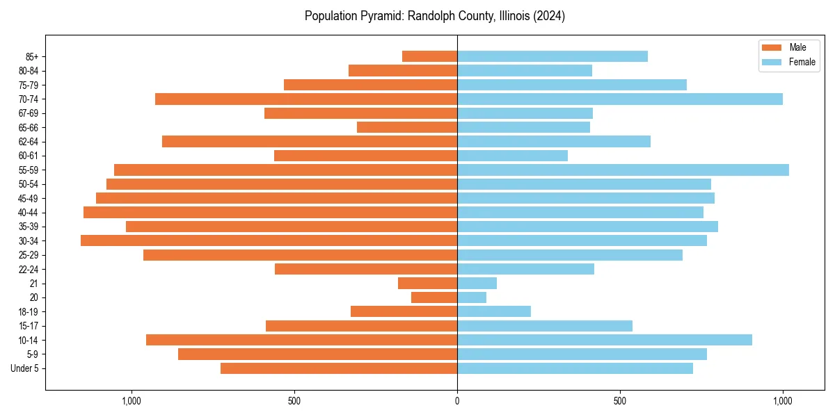 Population pyramid for 