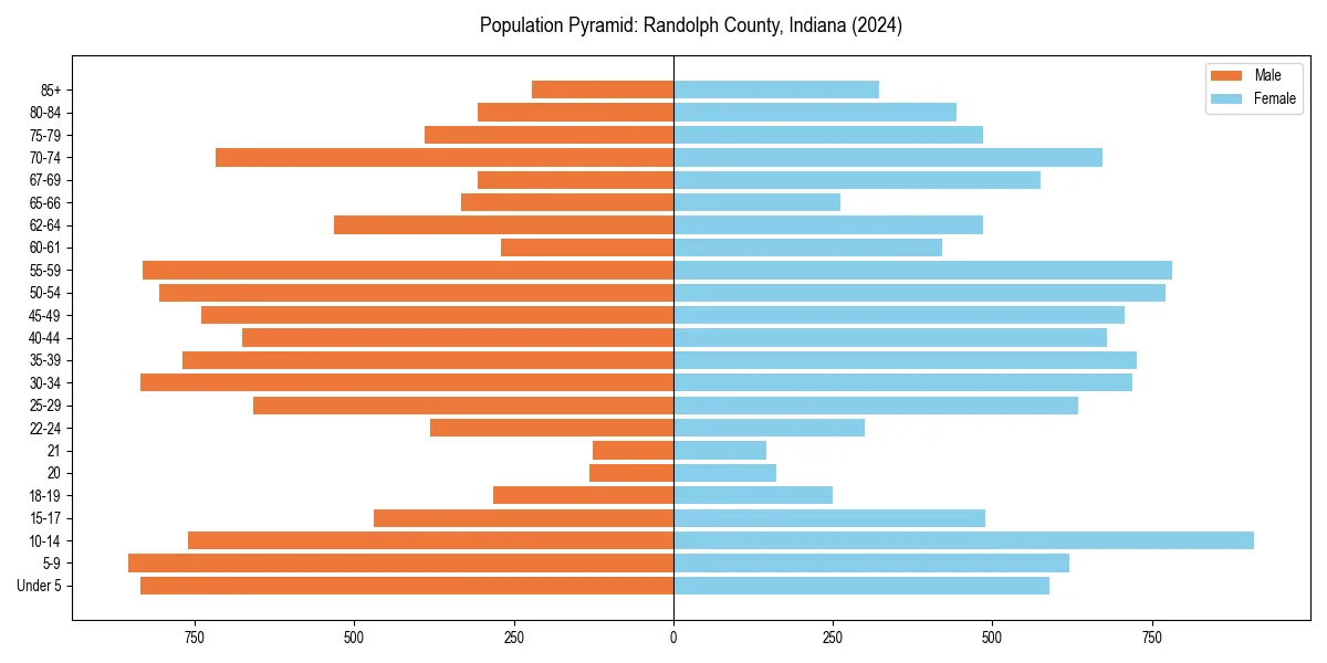Population pyramid for 