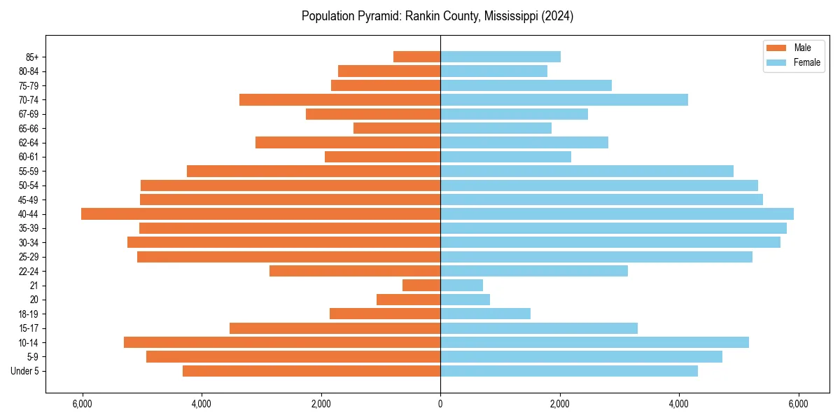 Population pyramid for 
