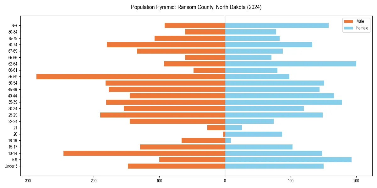 Population pyramid for 