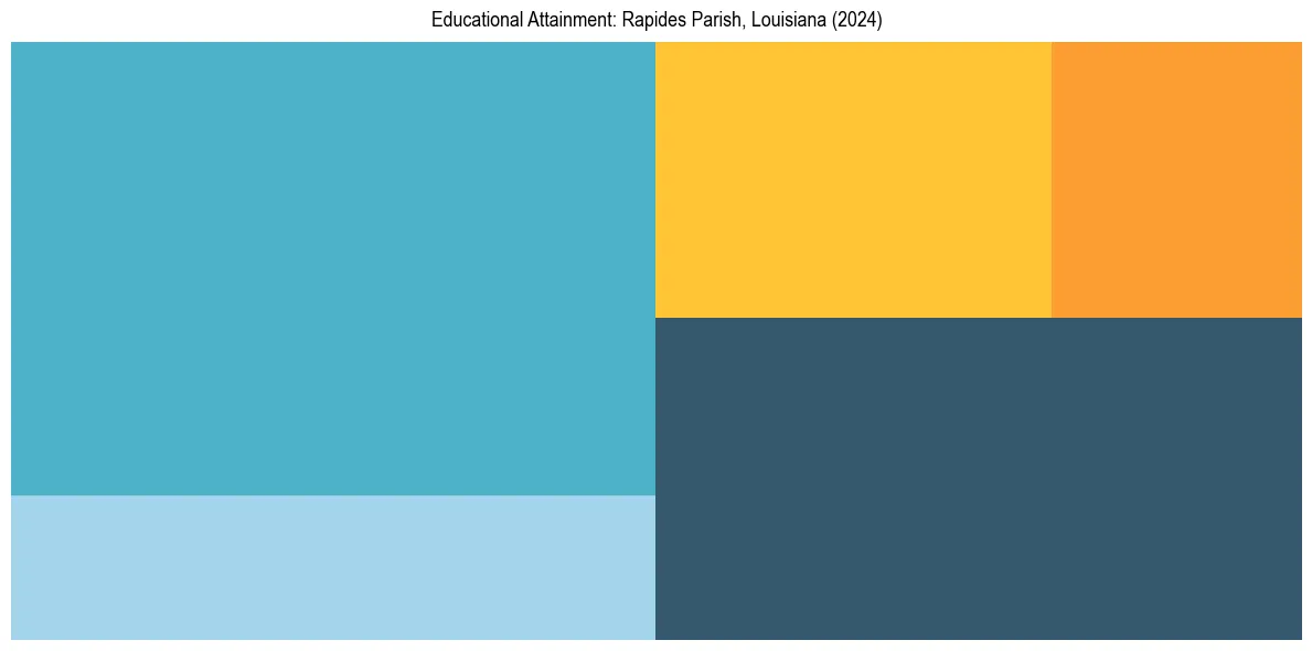 Education Treemap for  in 2024