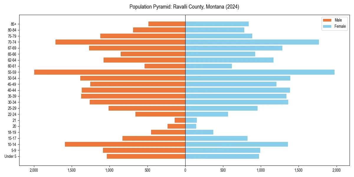 Population pyramid for 