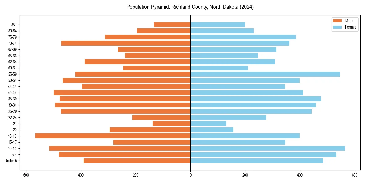 Population pyramid for 