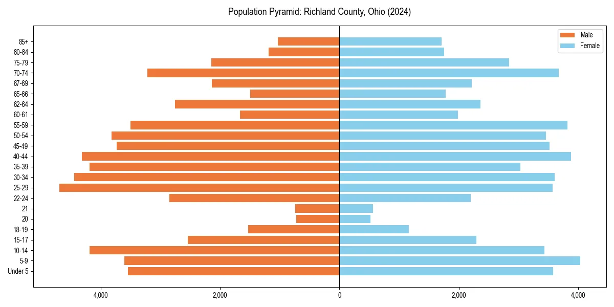 Population pyramid for 