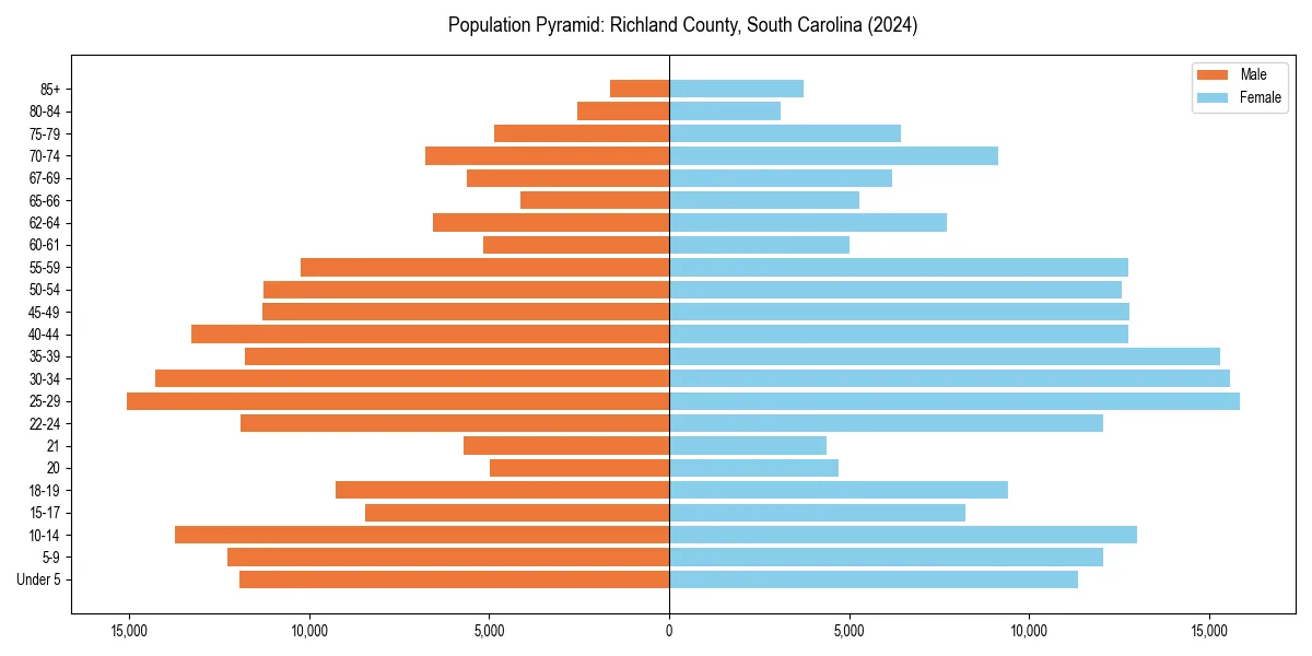 Population pyramid for 