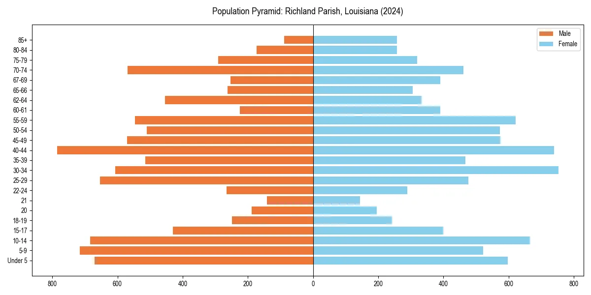 Population pyramid for 