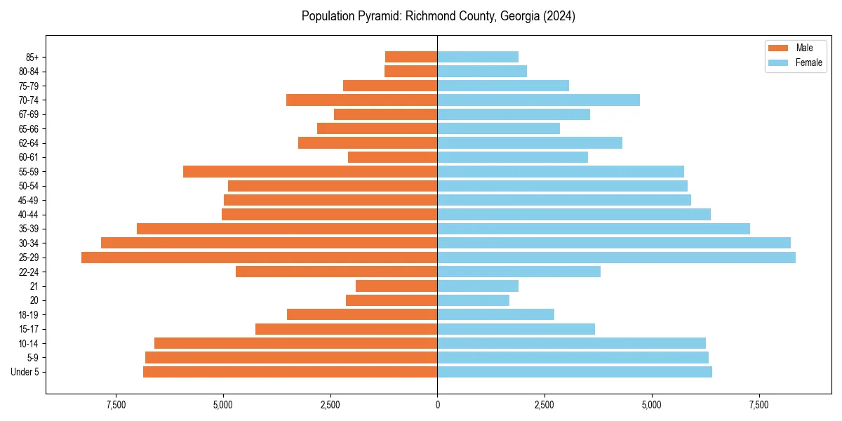 Population pyramid for 