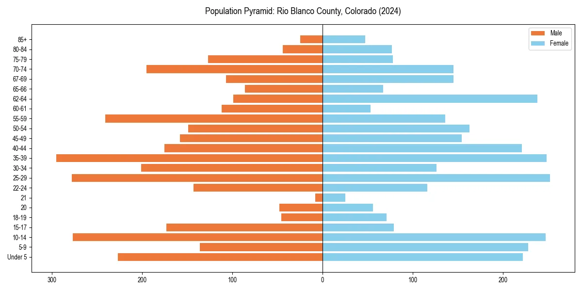 Population pyramid for 