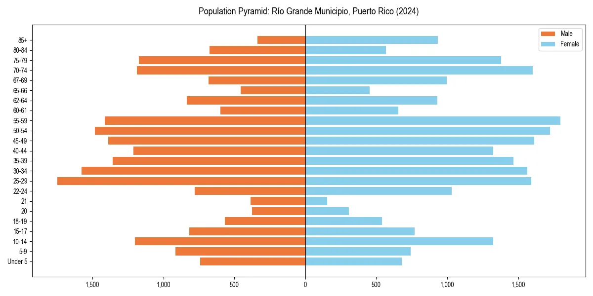 Population pyramid for 