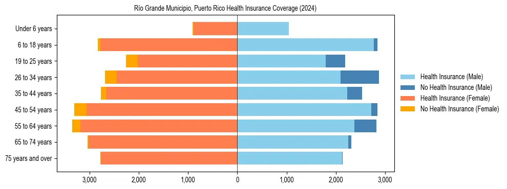 Health insurance pyramid for Río Grande Municipio, Puerto Rico