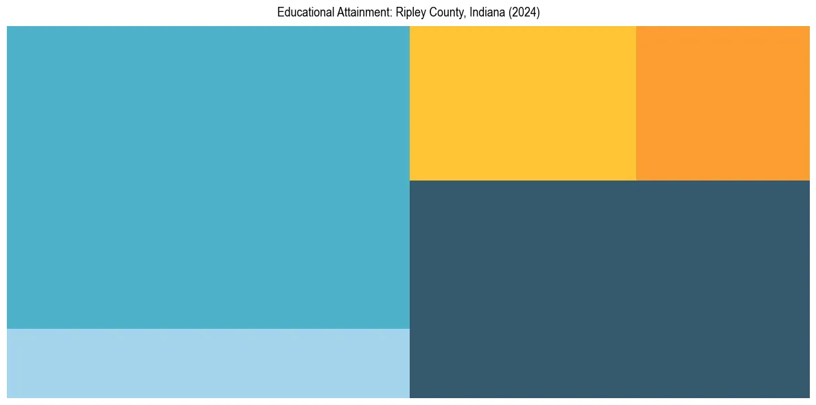 Education Treemap for  in 2024
