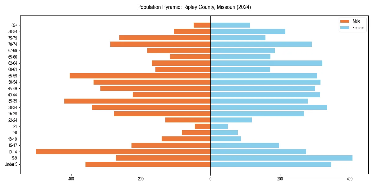Population pyramid for 