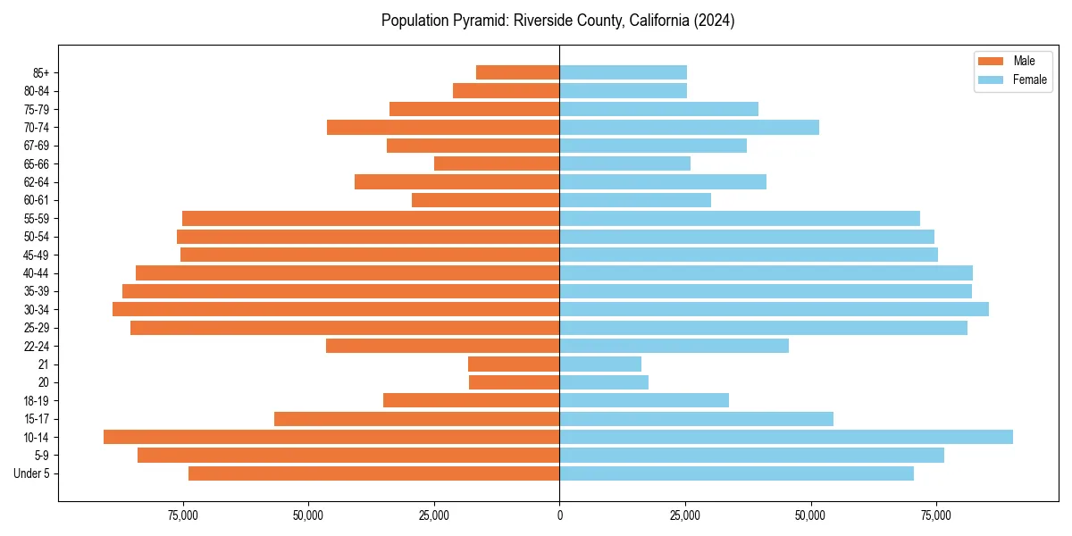 Population pyramid for 