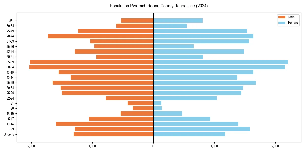 Population pyramid for 