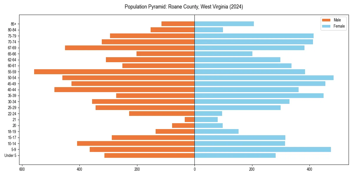 Population pyramid for 