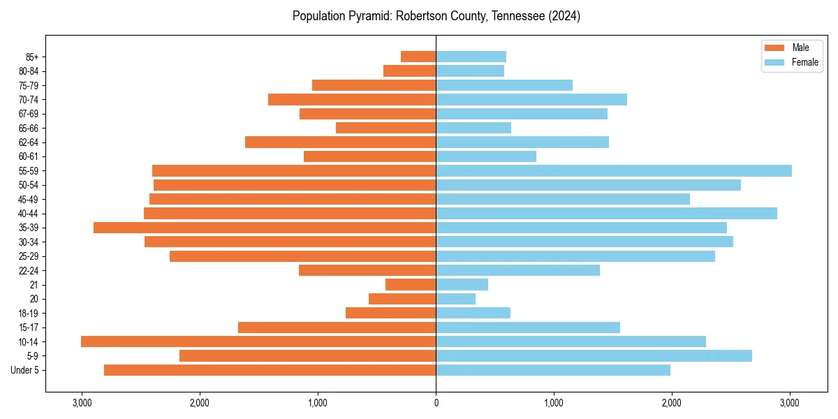 Population pyramid for 