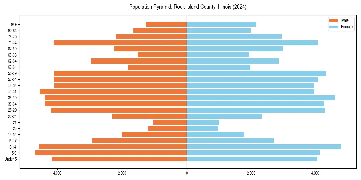 Population pyramid for 