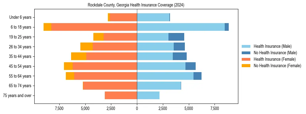 Health insurance pyramid for Rockdale County, Georgia
