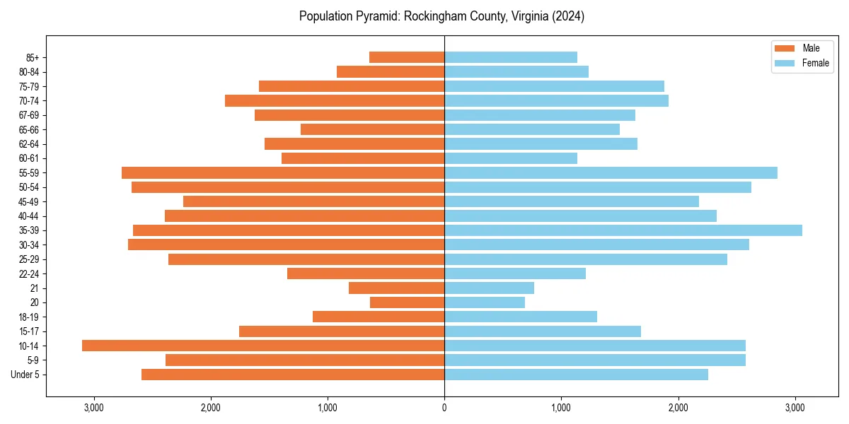 Population pyramid for 