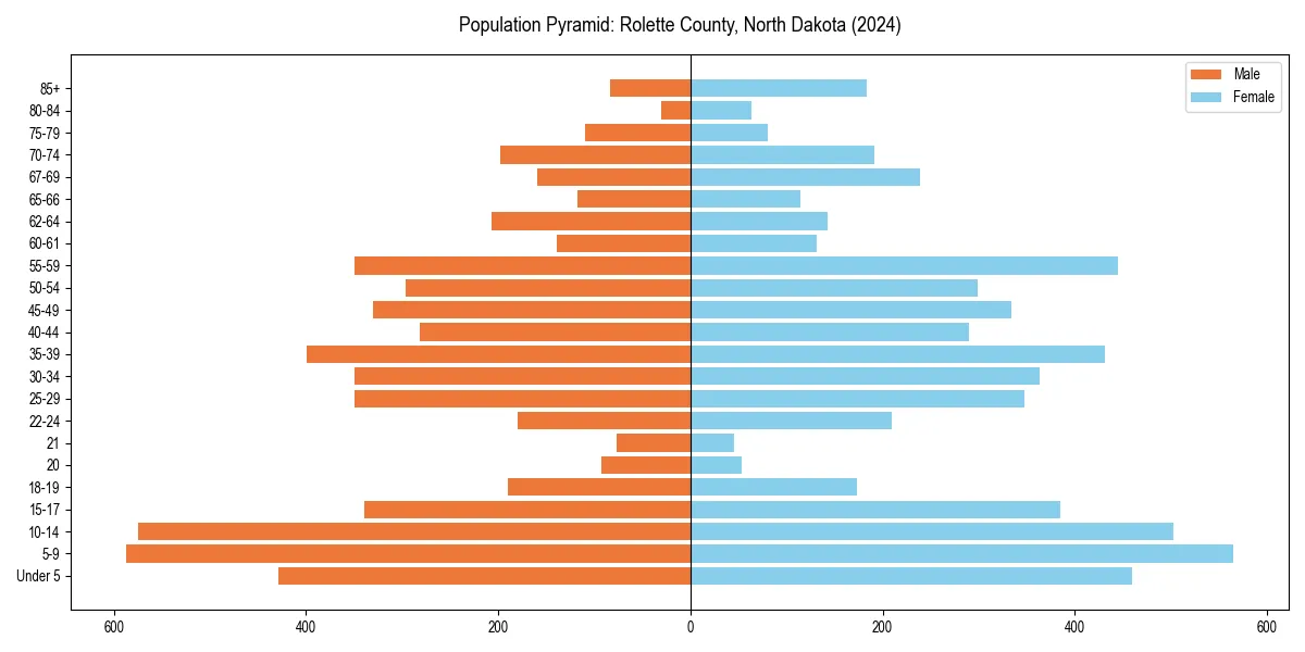 Population pyramid for 