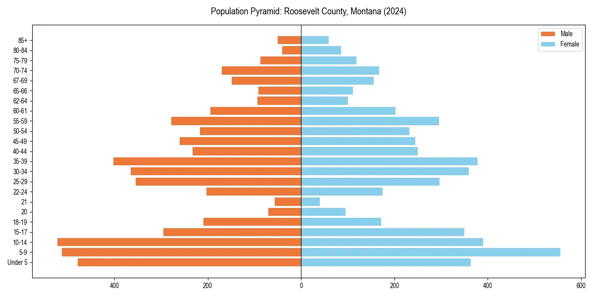Population pyramid for 