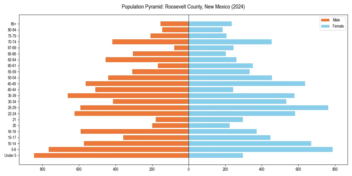 Population pyramid for 